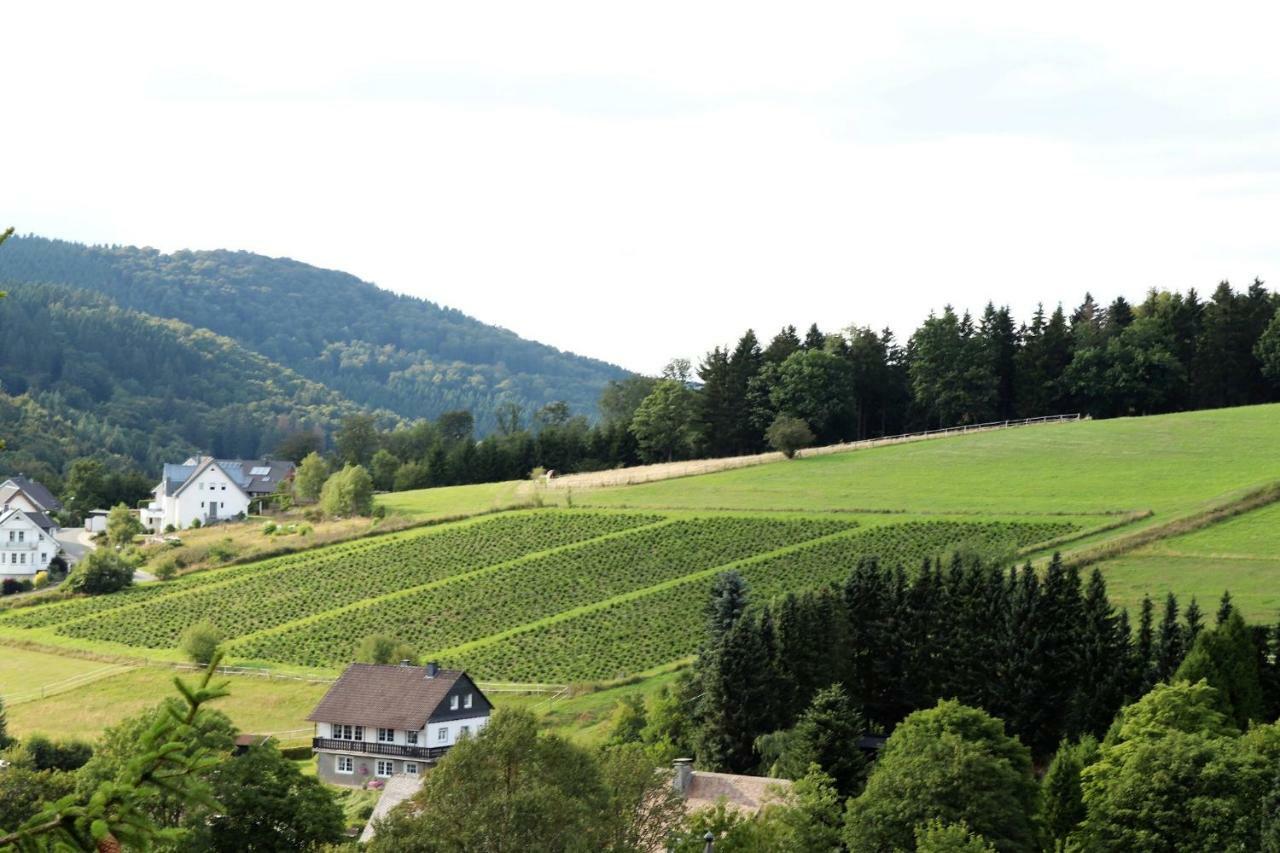 Gretel Von Birne Hotel Winterberg Bagian luar foto